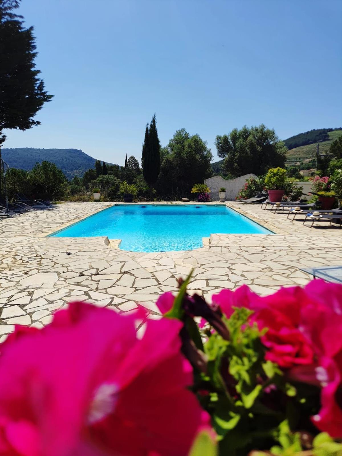 Logement La Belle Provence Le Beausset Exteriör bild
